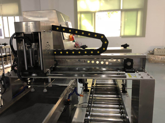 מכסים placer.jpg