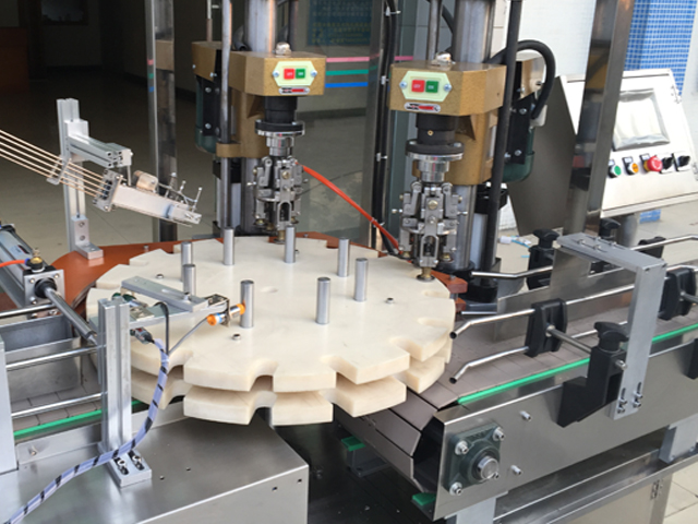 capping head מכסה בורג כפול ראש.jpg