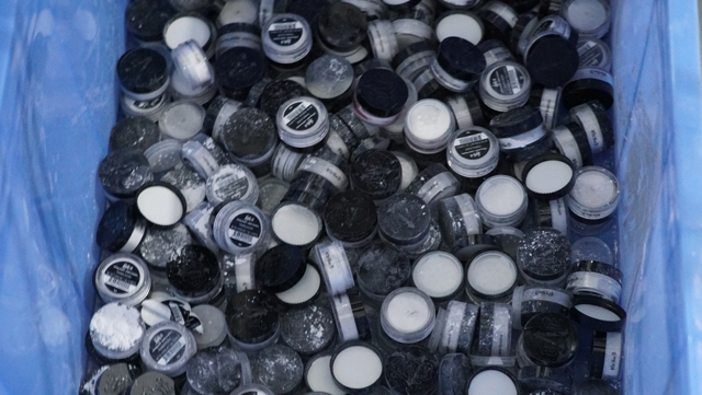 דגימות סופיות.JPG